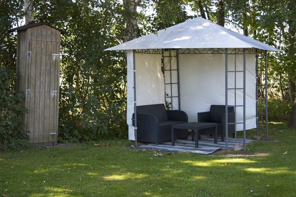 back yard_4730