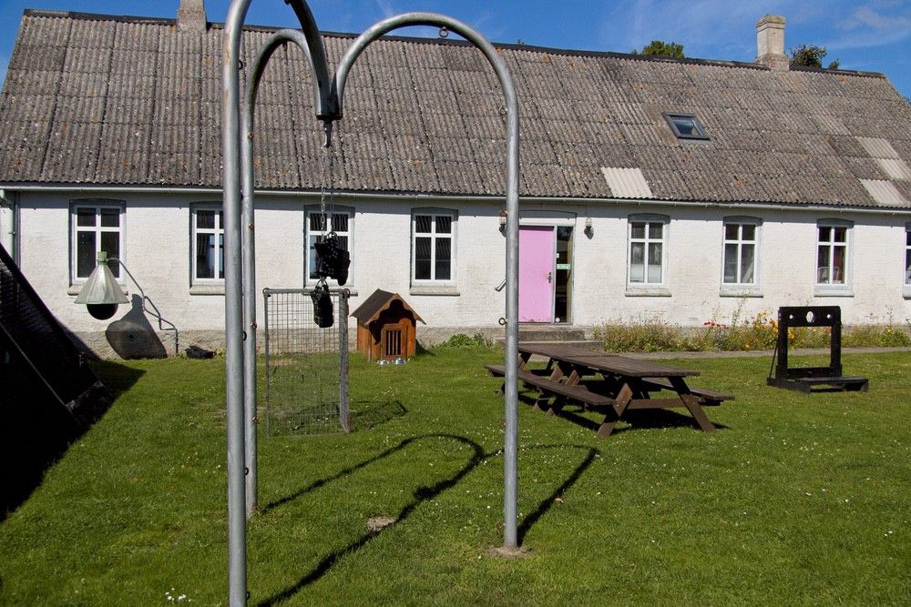 the yard_4653