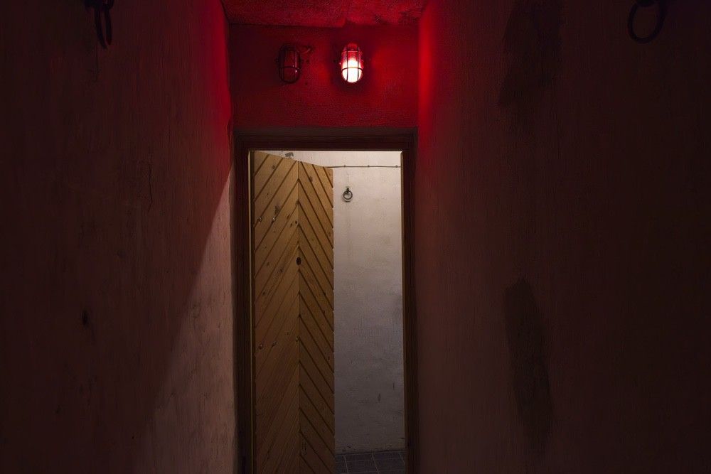 cells_5095