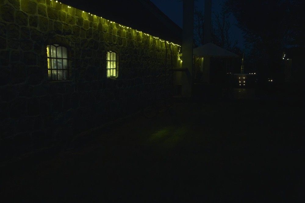 the yard_4963