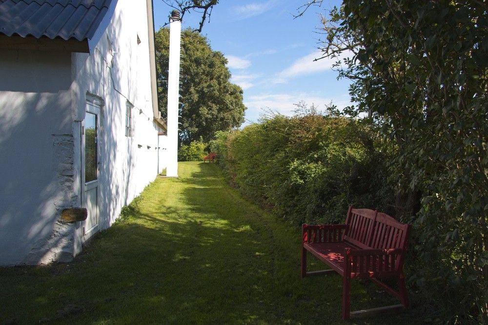 back yard_4694